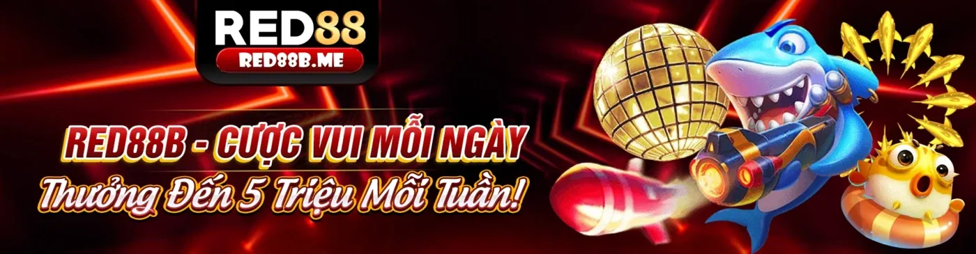 Khuyến Mãi king79 Hấp Dẫn 2026