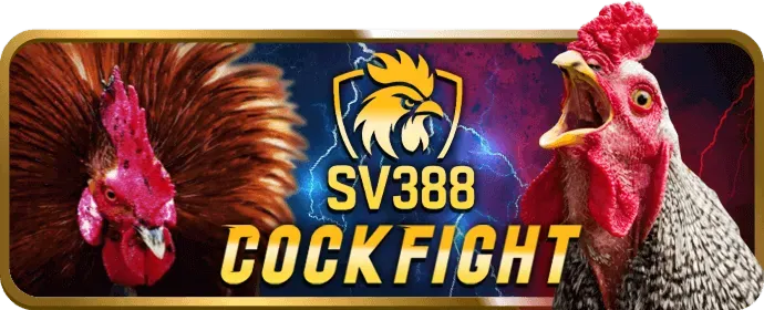 Chiến lược cá cược thể thao King79